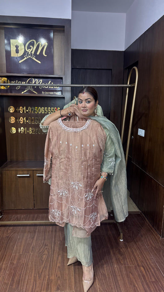 Sneha (Glass Tissue Suit)