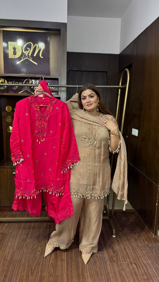 Sahiba (Glass Tissue Suit)