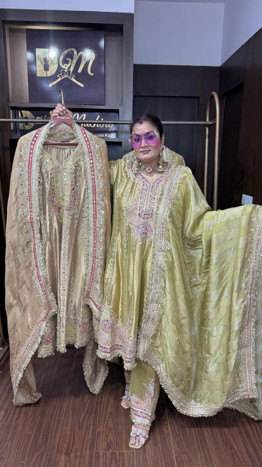 Inaya Pure Ziraff Tissue Anarkali