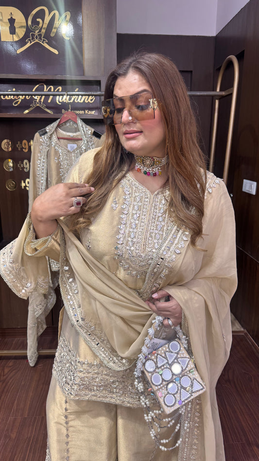 Velmira (Ziraf Tissue Fabric Sharara Suit)