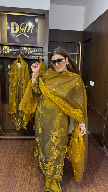 Norvya (Pakistani Glass Tissue Suit)