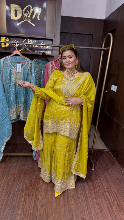 Velina (Pure Shimmer Tissue Sharara Suit)