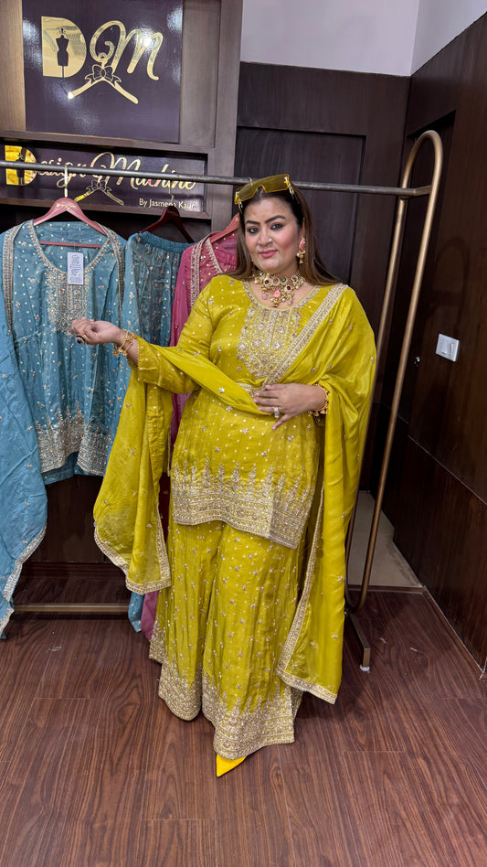 Velina (Pure Shimmer Tissue Sharara Suit)