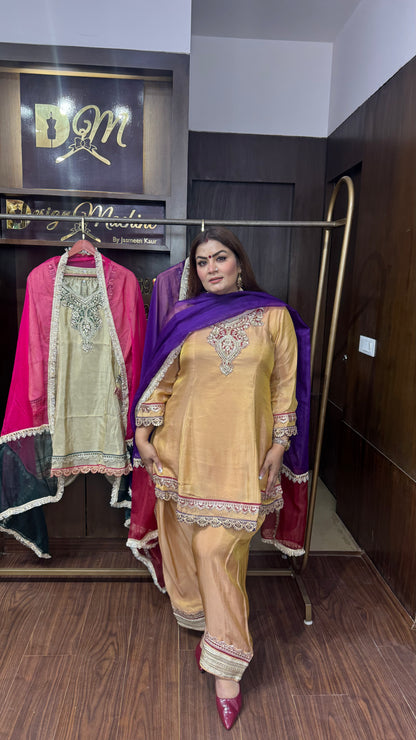 Ritika (Glass Tissue Suit)
