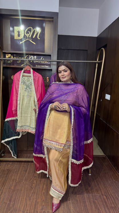 Ritika (Glass Tissue Suit)