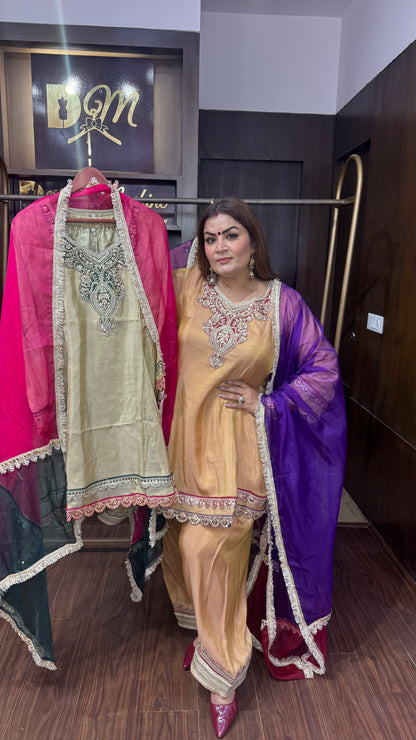 Ritika (Glass Tissue Suit)