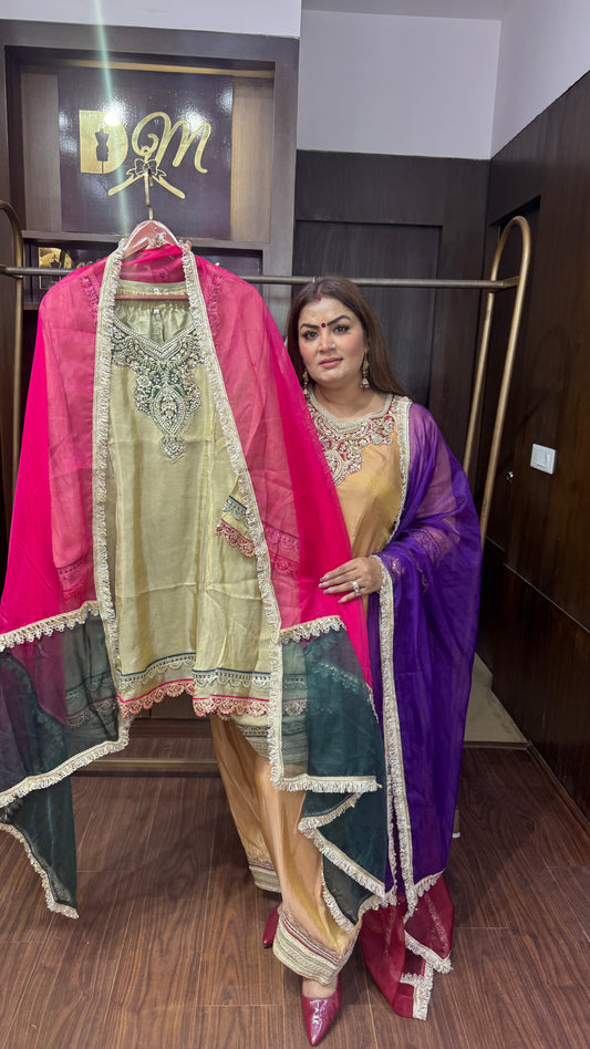 Ritika (Glass Tissue Suit)