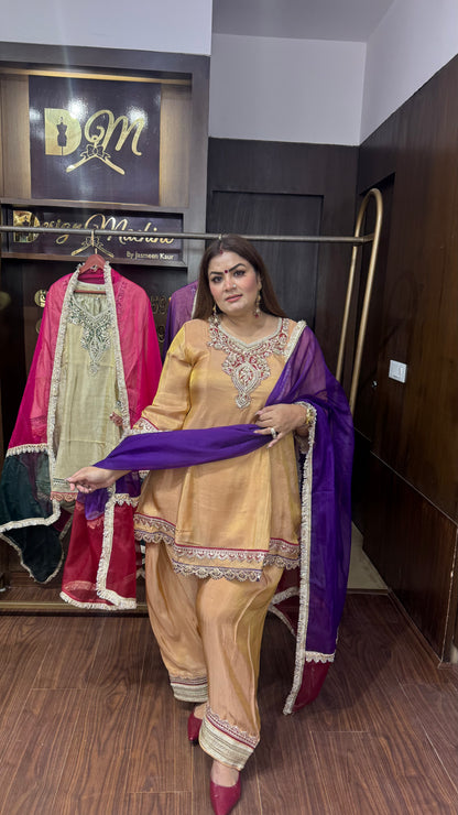 Ritika (Glass Tissue Suit)