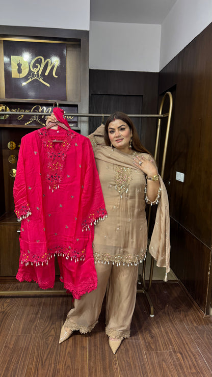 Sahiba (Glass Tissue Suit)