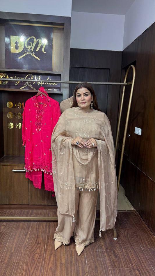 Sahiba (Glass Tissue Suit)