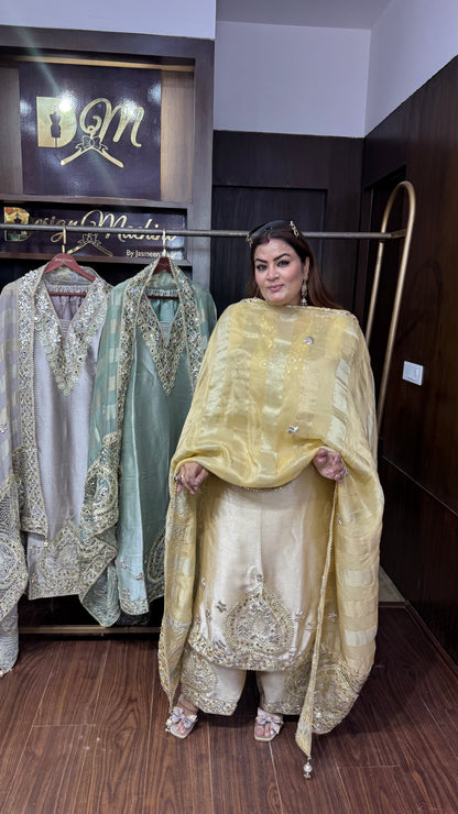 Ritika (Ziraff Tissue Farshi Salwar Suit)