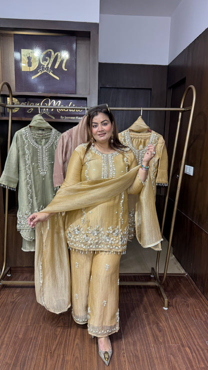 Shreshta (Glass Tissue Suit)