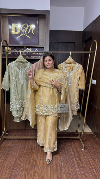 Shreshta (Glass Tissue Suit)