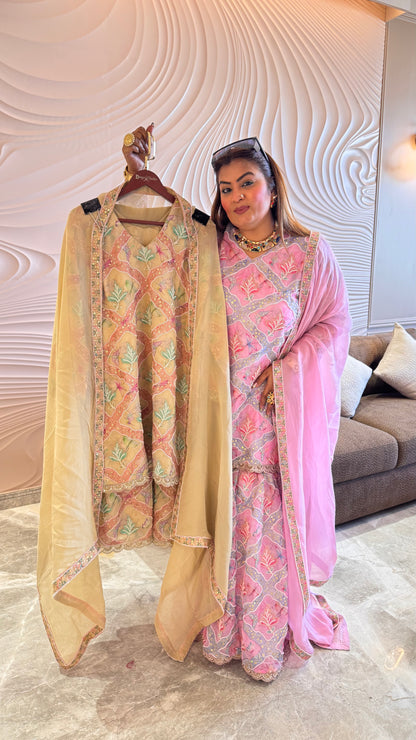 Eluneya  (Sharara Suit)