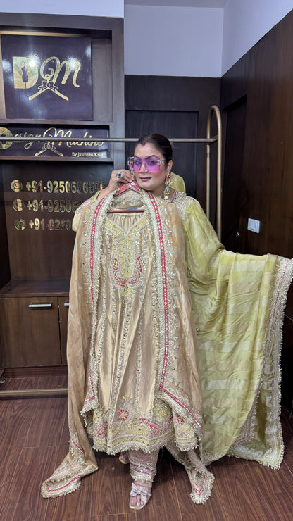 Inaya Pure Ziraff Tissue Anarkali
