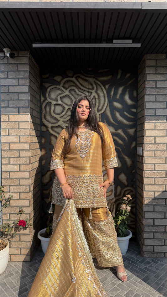 Falak Tissue Sharara