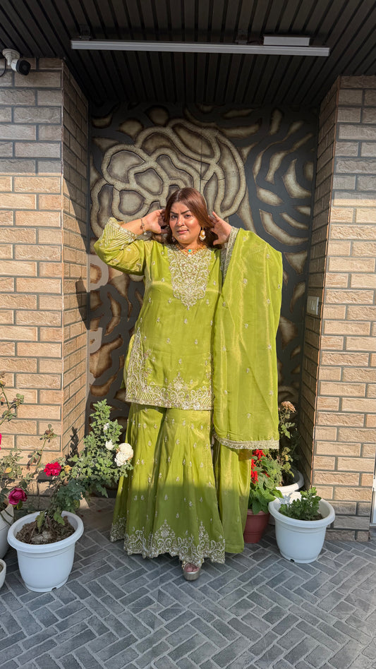 Sitara Shine Glass Tissue Sharara