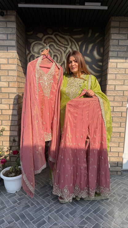 Sitara Shine Glass Tissue Sharara