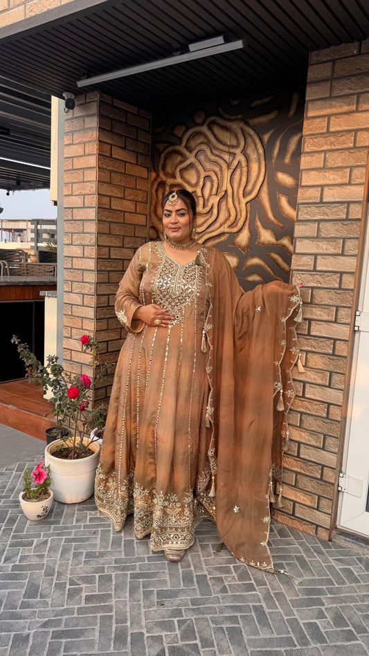 Begum (Glass Tissue Anarkali Gown)