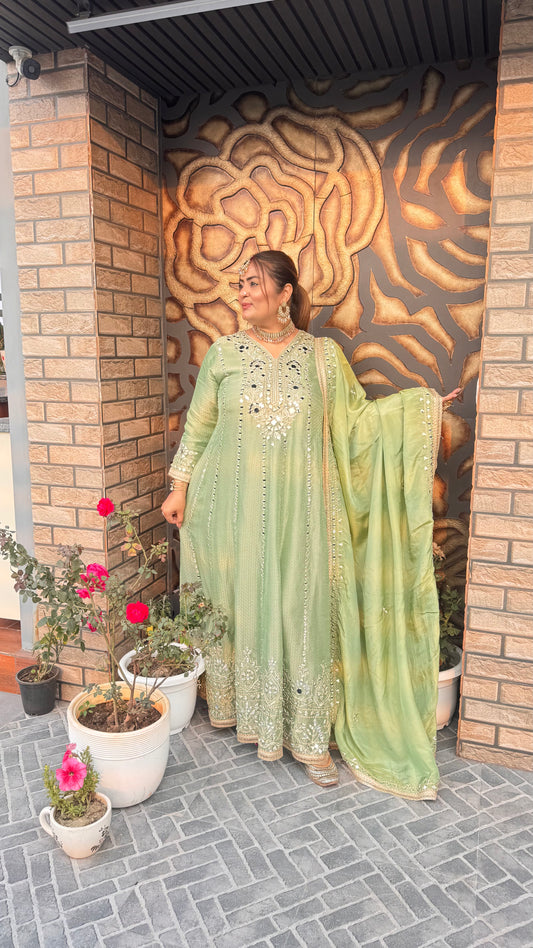 Zeba (Glass Tissue Anarkali Suit)