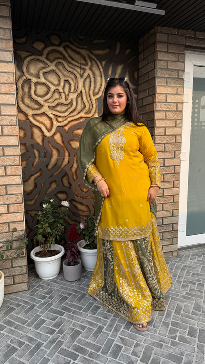 Ishq-e-Zaitoon  Collection
