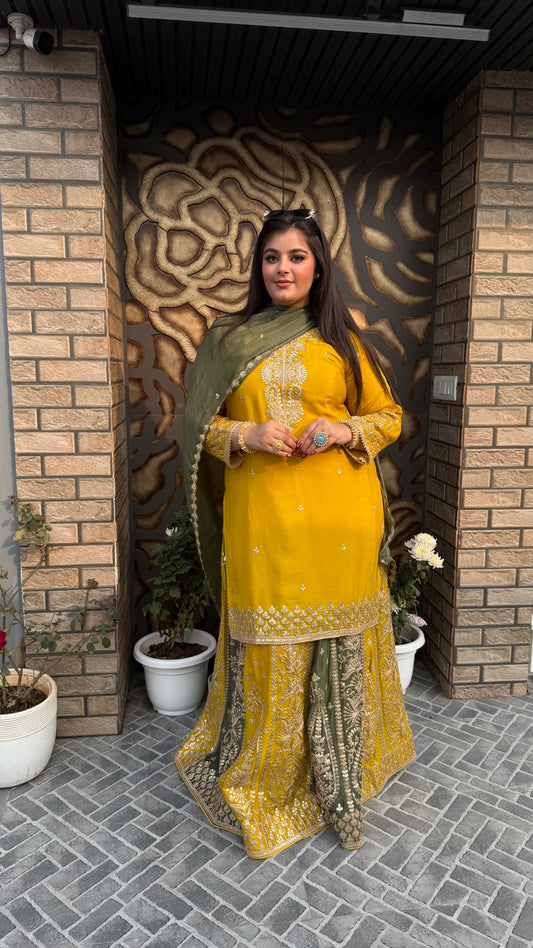 Ishq-e-Zaitoon  Collection