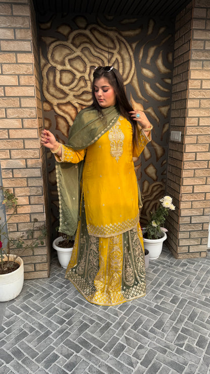 Ishq-e-Zaitoon  Collection