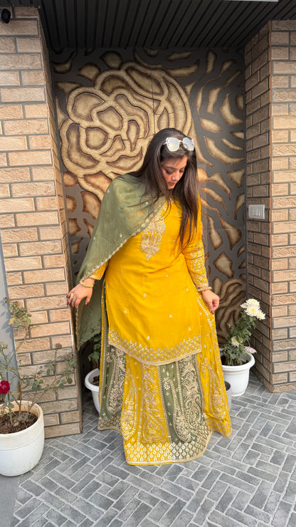 Ishq-e-Zaitoon  Collection
