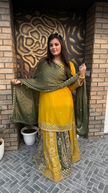 Ishq-e-Zaitoon  Collection