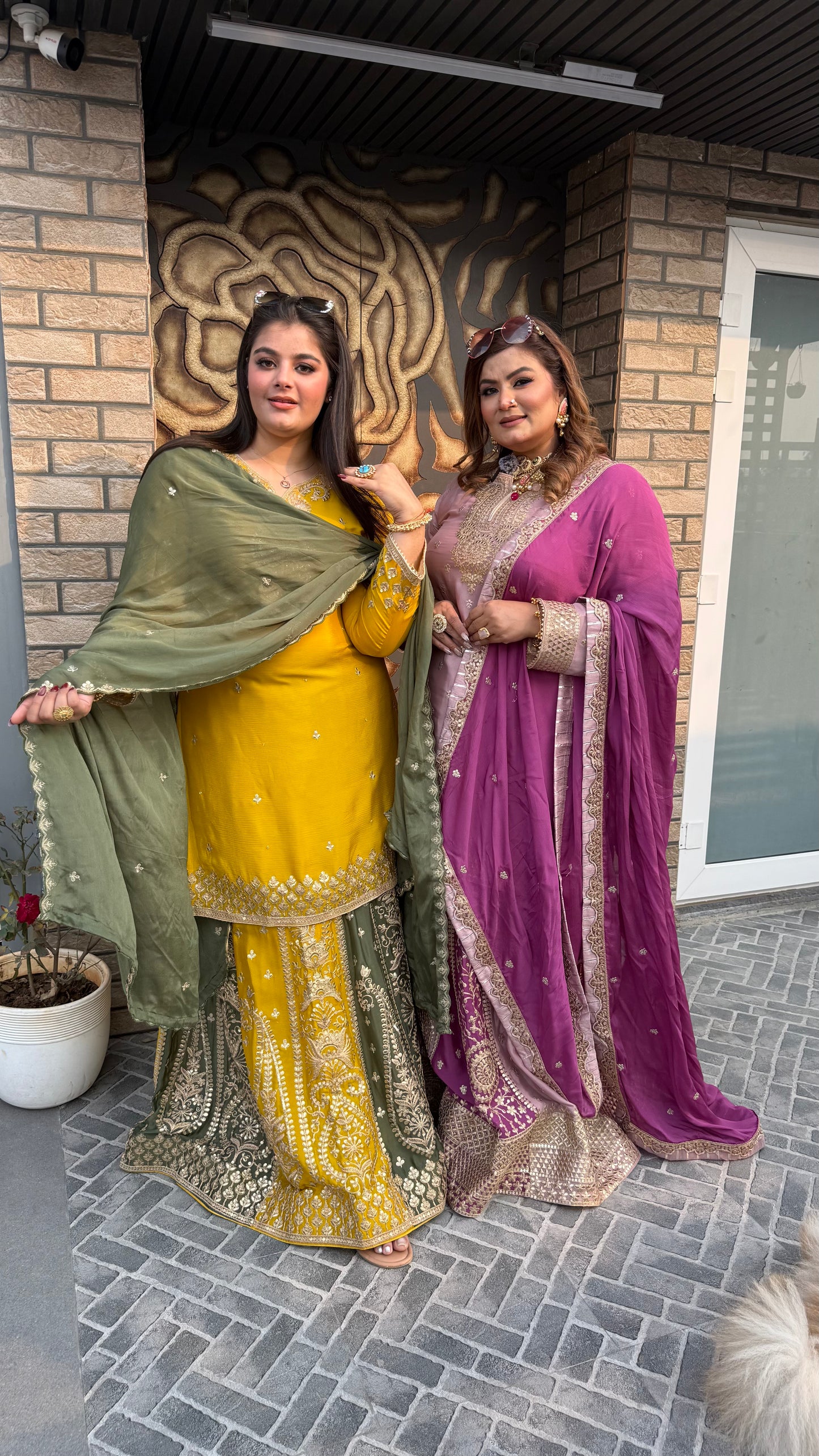 Ishq-e-Zaitoon  Collection