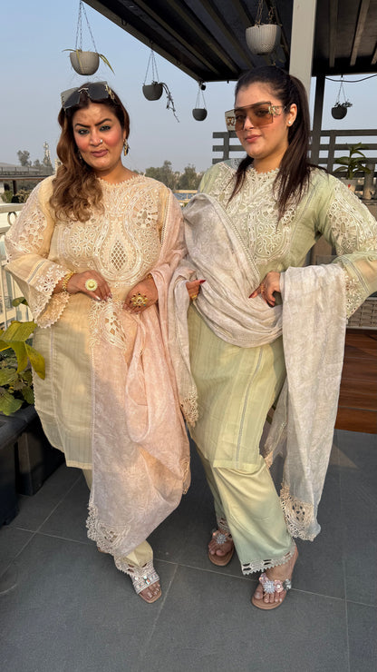 Gulnaar (Pakistani Stitch Suit)