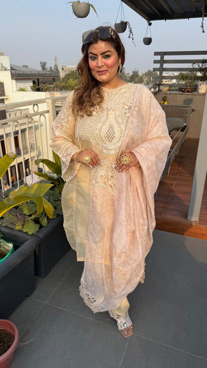 Gulnaar (Pakistani Stitch Suit)