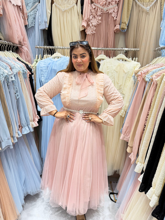 Beautiful Stretchable Dress  (PRE - ORDER)