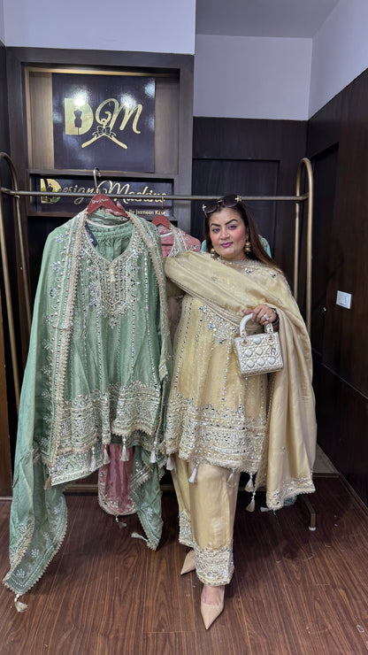 Abhira (Glass Tissue Farshi Salwar Suit)