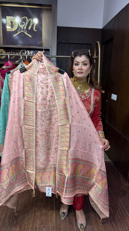 Varnika Banarasi Unstitched Suit