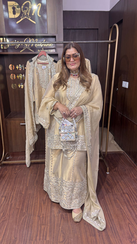 Velmira (Ziraf Tissue Fabric Sharara Suit)