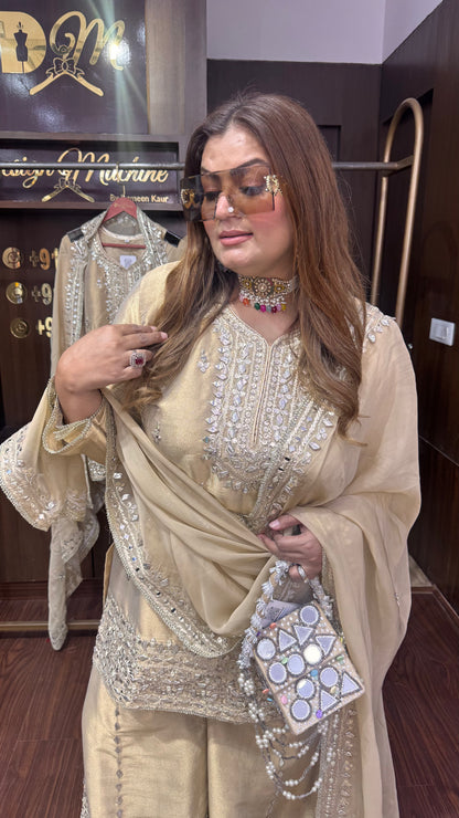 Velmira (Ziraf Tissue Fabric Sharara Suit)