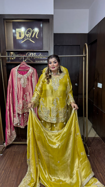 Aahana (Ziraff Tissue Sharara Suit)