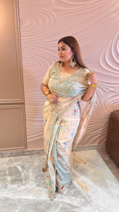 Avnera (Organza Tissue Saree)