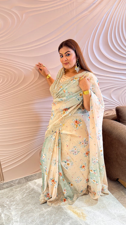 Avnera (Organza Tissue Saree)