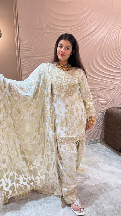Royal Banarasi Glow Suit